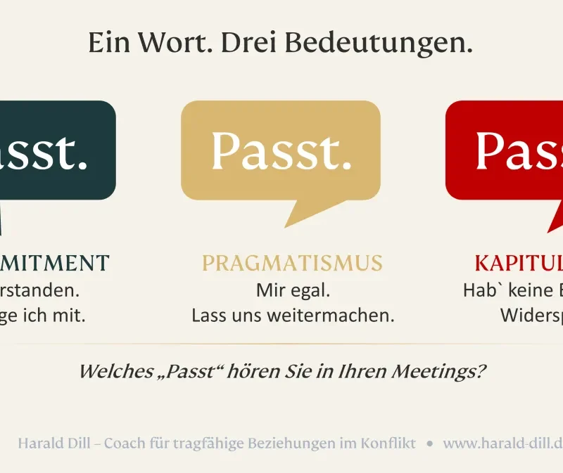 Drei Sprechblasen mit dem Wort "Passt" in Petrol, Gold und Rot, die Commitment, Pragmatismus und Kapitulation darstellen