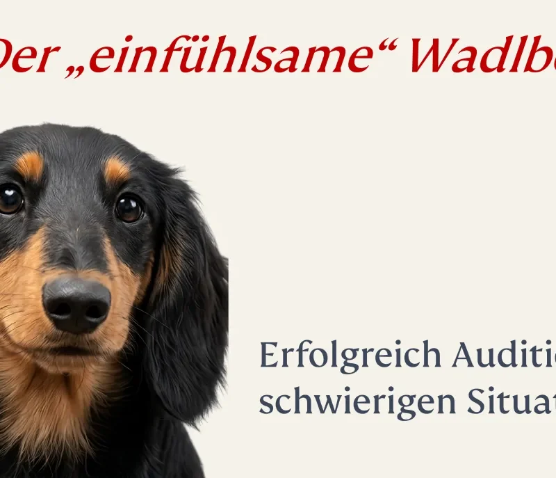 Der einfühlsame Wadlbeiser - erfolgreich Auditieren, schwierige Situationen