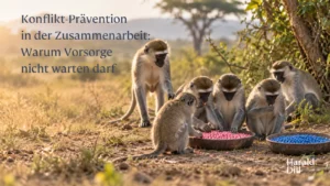 Eine Meerkatze nähert sich einer bestehenden Gruppe – Sinnbild für die Übernahme von Unternehmenskultur.